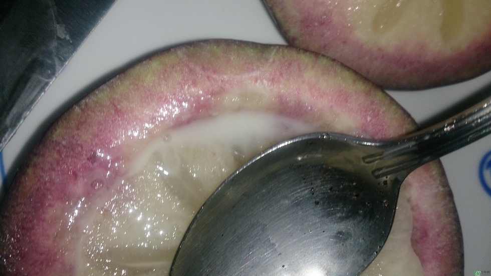 牛奶果怎么吃？牛奶果的功效與作用