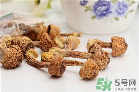 姬松茸的營養(yǎng)價值 姬松茸的功效與作用