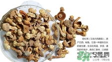 姬松茸的營養(yǎng)價值 姬松茸的功效與作用