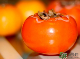 鴨肉和柿子能一起吃嗎？吃完鴨肉可以吃柿子嗎？