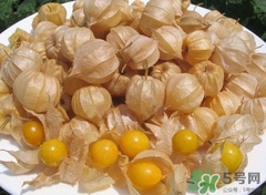 哺乳可以吃燈籠果嗎?哺乳期吃燈籠果好嗎 哺乳可以吃燈籠果嗎?哺乳期吃燈籠果好嗎