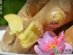 姜湯用老姜還是嫩姜？煮姜湯可以用干生姜嗎？