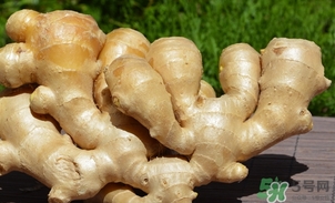 姜湯用老姜還是嫩姜？煮姜湯可以用干生姜嗎？