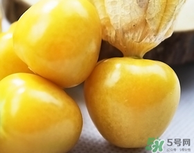 燈籠果不能和什么一起吃？燈籠果什么人不能吃？