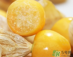 燈籠果不能和什么一起吃？燈籠果什么人不能吃？