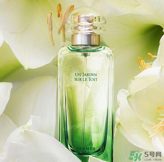 愛(ài)馬仕香水怎么看真假？愛(ài)馬仕香水真假鑒別圖