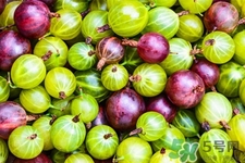 燈籠果一天吃幾個最好？燈籠果什么時候吃最好？