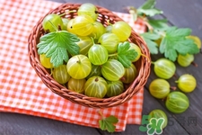 燈籠果一天吃幾個最好？燈籠果什么時候吃最好？