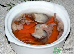 雞肉能和胡蘿卜一起吃嗎？雞肉和蘿卜可以一起吃嗎？