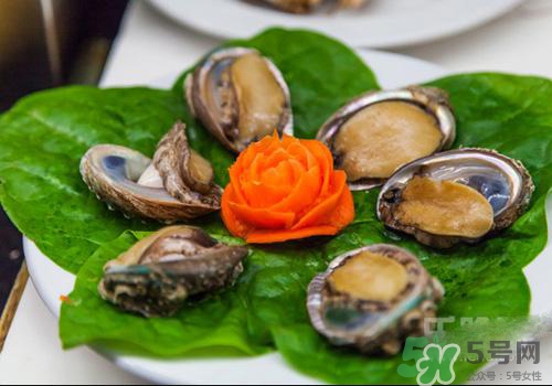 鮑魚是熱性還是涼性？鮑魚是寒性食物嗎？