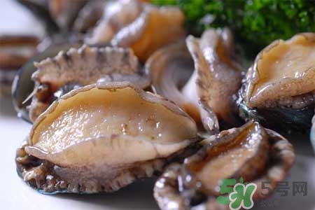 寶寶能吃鮑魚(yú)嗎？寶寶多大可以吃鮑魚(yú)？