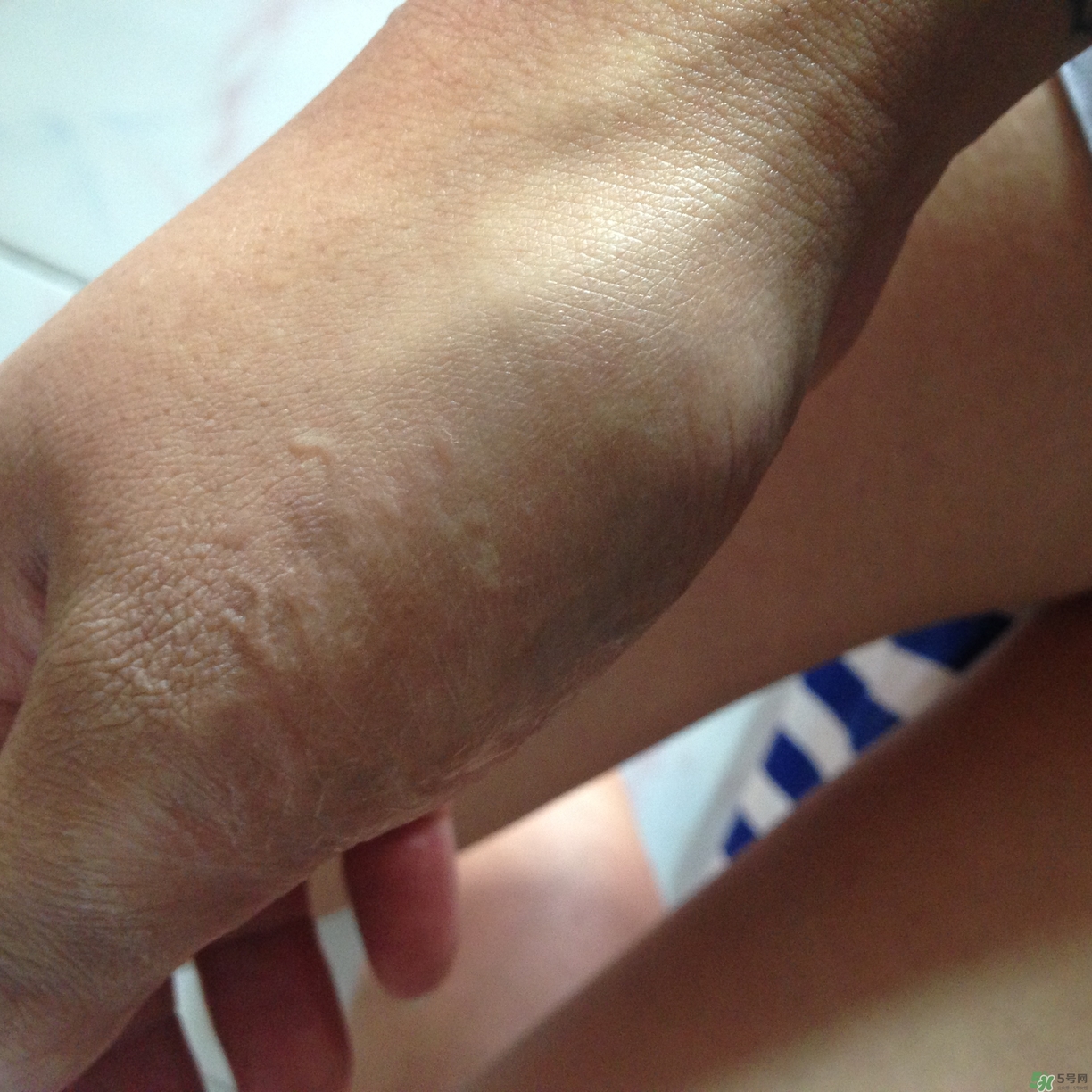 笛愛兒氣墊bb霜怎么樣?笛愛兒氣墊bb霜好用嗎? 笛愛兒氣墊bb霜怎么樣?笛愛兒氣墊bb霜好用嗎?