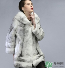 貂毛長的好還是短的好?貂毛怎么鑒別 貂毛長的好還是短的好?貂毛怎么鑒別