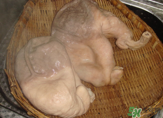 豬大腸怎么清洗？豬大腸怎么去臭味？