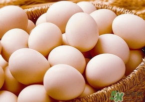 笨雞蛋和普通雞蛋營養(yǎng)價值一樣嗎？笨雞蛋和普通雞蛋的區(qū)別