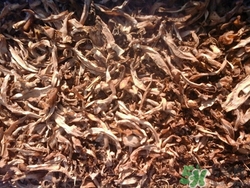 筍干怎么泡發(fā)嫩?筍干的做法大全介紹