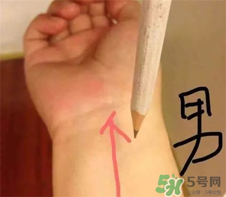 用鉛筆怎么測(cè)胎兒性別?用鉛筆和針測(cè)男女性別準(zhǔn)嗎? 用鉛筆怎么測(cè)胎兒性別?用鉛筆和針測(cè)男女性別準(zhǔn)嗎?