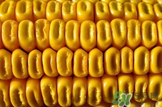 膽結石可以吃粗糧嗎?膽結石吃粗糧好嗎