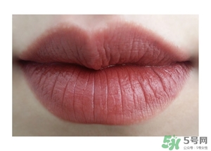 楓葉紅什么牌子好？楓葉紅口紅推薦