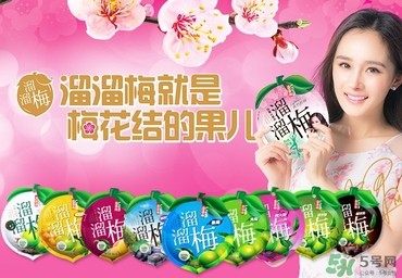 溜溜梅是梅花結(jié)的果嗎？溜溜梅的功效作用