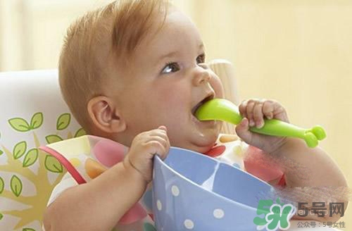 6個月的寶寶可以吃肉泥嗎？寶寶幾個月可以吃肉泥？