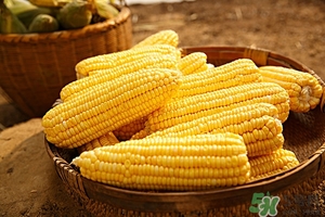 吃粗糧會(huì)便秘嗎?吃粗糧便秘怎么辦 吃粗糧會(huì)便秘嗎?吃粗糧便秘怎么辦