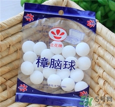 樟腦丸對蟑螂有用嗎?樟腦丸的功效與作用 樟腦丸對蟑螂有用嗎?樟腦丸的功效與作用