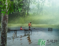 冬天釣魚(yú)好釣嗎?冬天釣魚(yú)用什么魚(yú)餌