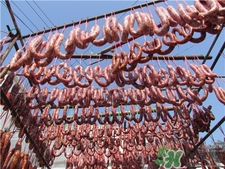 灌香腸的腸衣是什么?灌香腸的腸衣在哪里買? 灌香腸的腸衣是什么?灌香腸的腸衣在哪里買?