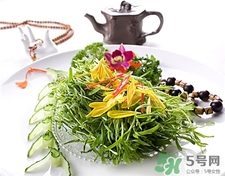 苦菊的營養(yǎng)價(jià)值 苦菊的功效與作用 苦菊的營養(yǎng)價(jià)值 苦菊的功效與作用