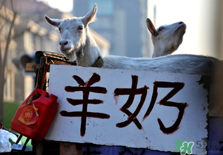 鮮羊奶怎么保存？鮮羊奶放冰箱能放多久？