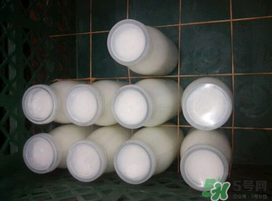 鮮羊奶可以直接喝嗎？鮮羊奶怎么喝最好？