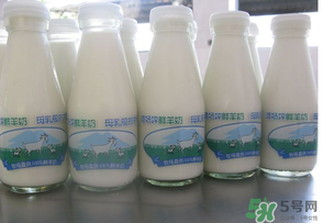 鮮羊奶可以直接喝嗎？鮮羊奶怎么喝最好？