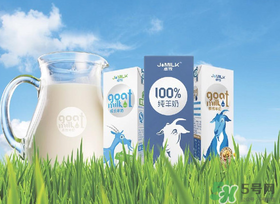 喝鮮羊奶的好處和壞處 鮮羊奶的功效與作用 喝鮮羊奶的好處和壞處 鮮羊奶的功效與作用