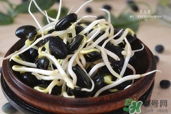 黑豆芽怎么做好吃?黑豆芽做法大全 黑豆芽怎么做好吃?黑豆芽做法大全