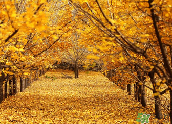 ?冬天空調(diào)開多少度合適？冬天空調(diào)制熱多少度合適？