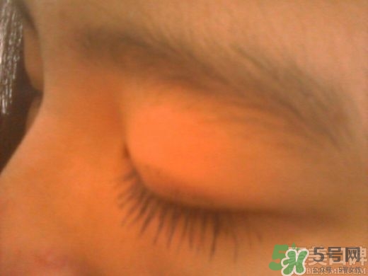 菲詩小鋪睫毛膏怎么樣？the face shop睫毛膏好用嗎？