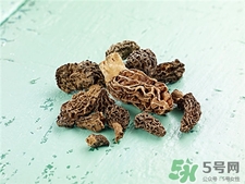 羊肚菌的營養(yǎng)價值 羊肚菌的功效與作用 羊肚菌的營養(yǎng)價值 羊肚菌的功效與作用