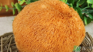 猴頭菇怎么吃？猴頭菇的功效與作用