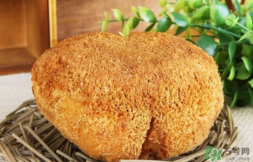 猴頭菇怎么吃？猴頭菇的功效與作用