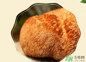 猴頭菇怎么吃？猴頭菇的功效與作用