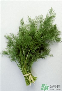 小茴香怎么吃?小茴香的功效與作用 小茴香怎么吃?小茴香的功效與作用