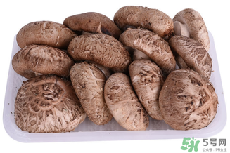 鮮香菇可以放冰箱嗎？鮮香菇可以冷凍嗎？