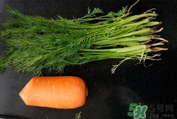 茴香是發(fā)物嗎?茴香是熱性還是涼性的 茴香是發(fā)物嗎?茴香是熱性還是涼性的