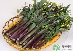 孕婦可以吃紅菜苔嗎?孕婦吃紅菜苔有什么好處 孕婦可以吃紅菜苔嗎?孕婦吃紅菜苔有什么好處