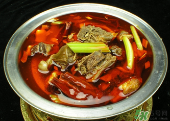 狗肉不能和什么一起吃？狗肉和什么相克？