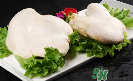 白靈菇的營養(yǎng)價值 白靈菇的功效與作用 白靈菇的營養(yǎng)價值 白靈菇的功效與作用