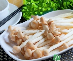 海鮮菇怎么挑選 海鮮菇的功效與作用 海鮮菇怎么挑選 海鮮菇的功效與作用