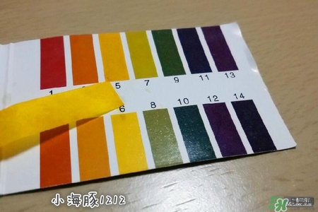 賽貝格哪里買？賽貝格哪里有專柜？