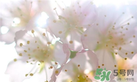 lunaso日月晶采高光棒多少錢?lunaso高光棒專柜價格 lunaso日月晶采高光棒多少錢?lunaso高光棒專柜價格